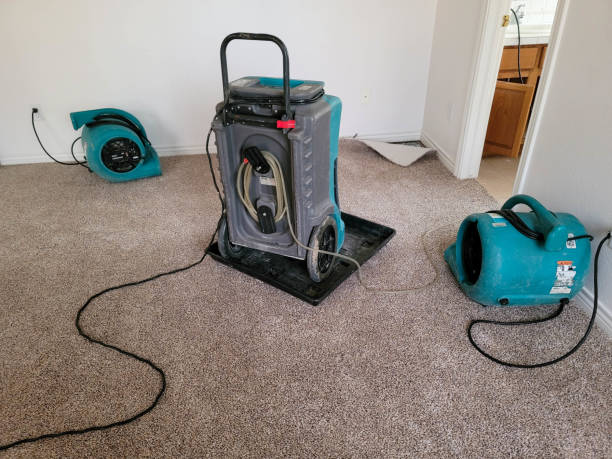 Best Flood damage cleanup  in Bennett, CO
