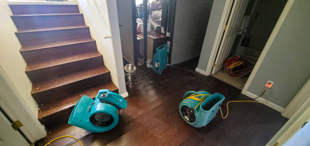 Best Professional water damage repair  in Bennett, CO