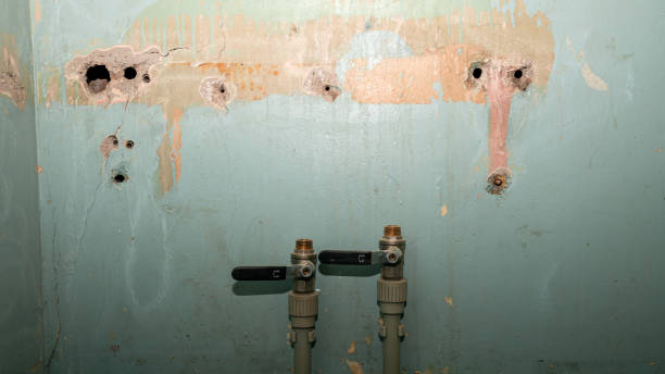 Best Carpet water damage restoration  in Bennett, CO