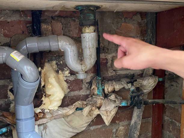 Best Mold removal after water damage  in Bennett, CO